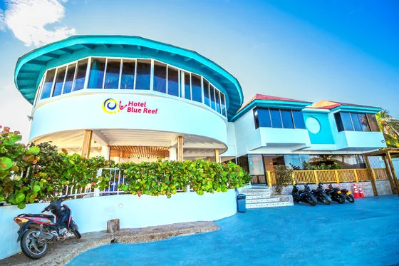 6558b81d-e451-48fa-bf2c-e89154238ac4